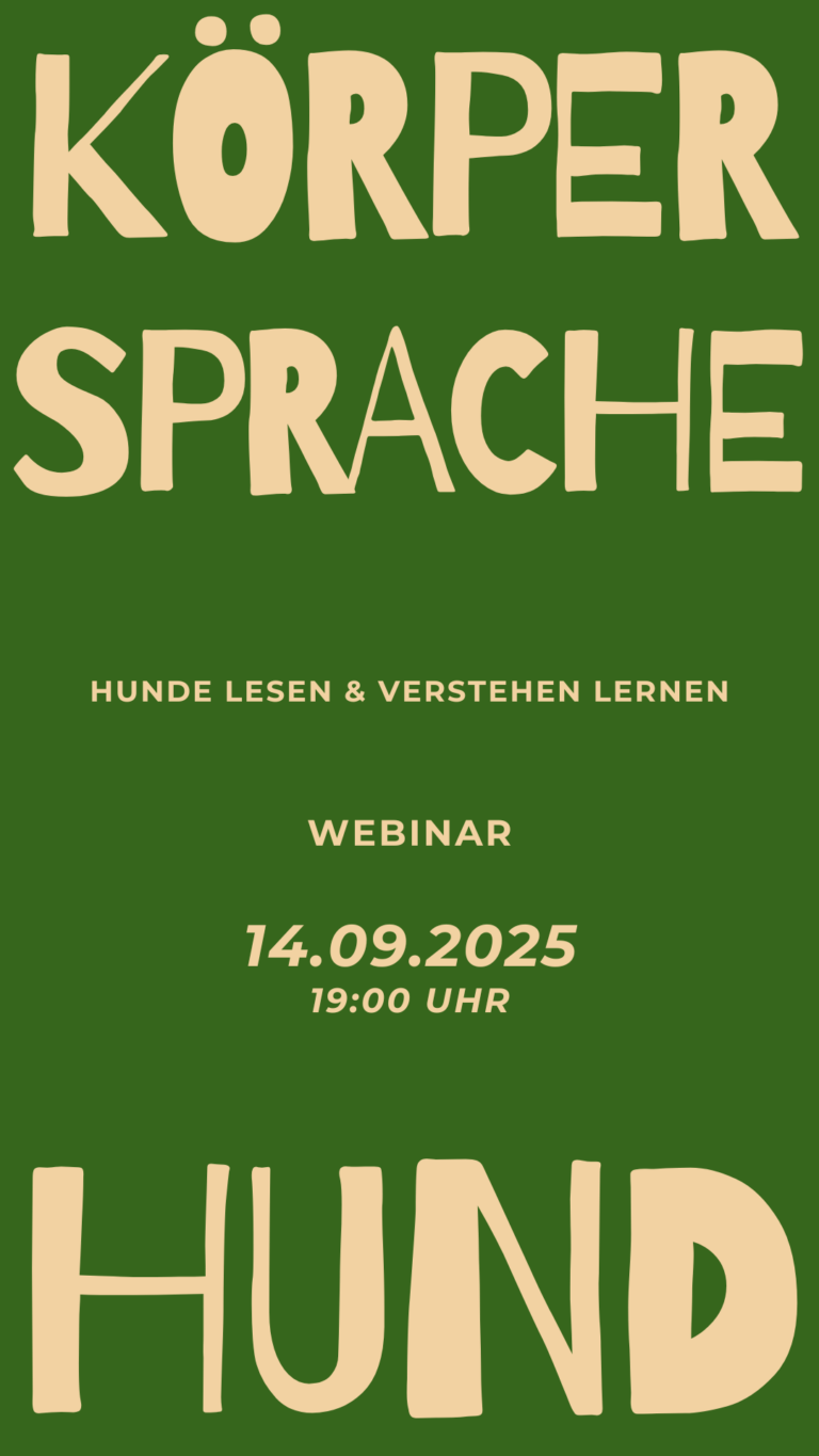 Webinar Körpersprache
