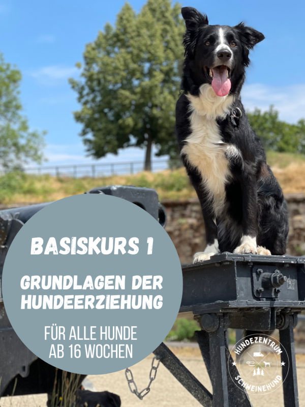 Lila Papeterie Motivierend Spruch Zitat Instagram Beitrag