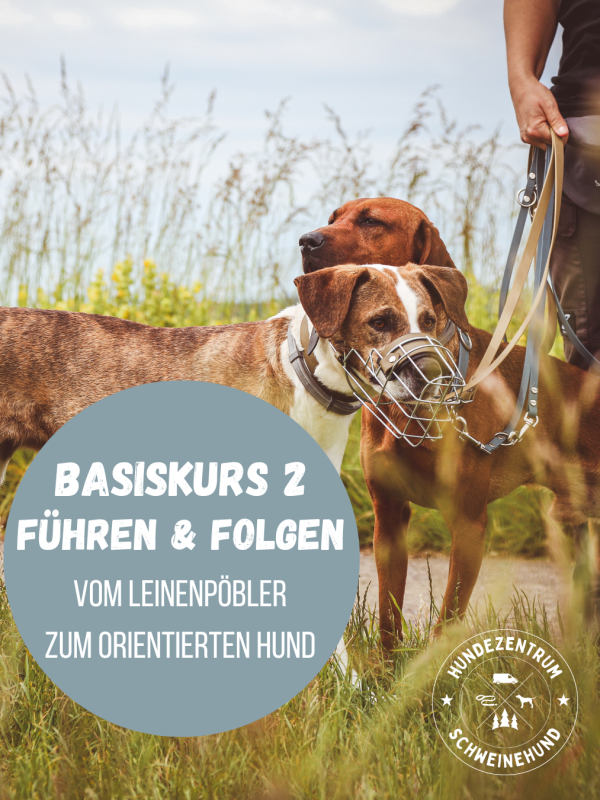 Lila Papeterie Motivierend Spruch Zitat Instagram Beitrag(1)