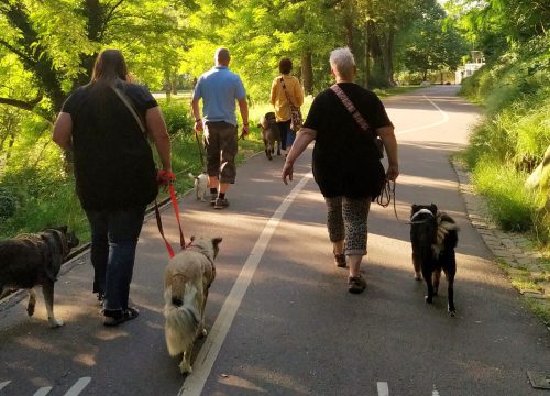 Social Walk 169